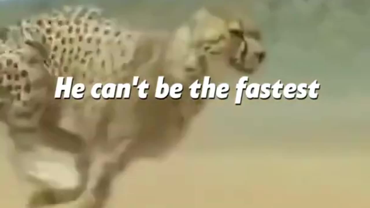 Be a king of life