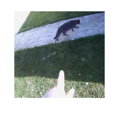 NE BEEZIII , NE BOJ SE