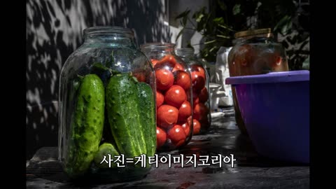 "미안하다 몰라봤다… 오이에 이렇게 많은 효능이?"