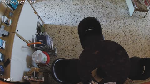 hallmid midnight 20220401