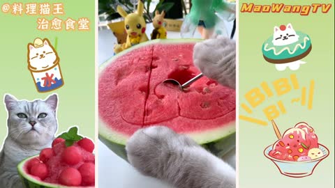 Make a smoothie by knocking. This cat will show you the easiest way to make a smoothie