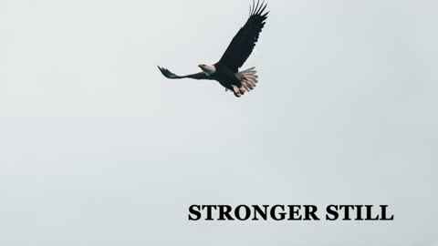 Pray USA, 2/17/23 Stronger Still