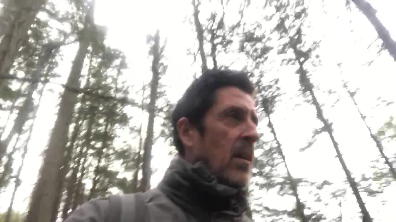 Gold fringe, Vatican, Canada , Crown 👑 corp