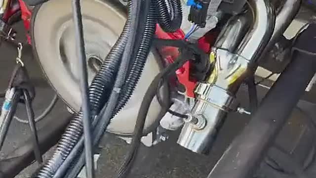 Show engine