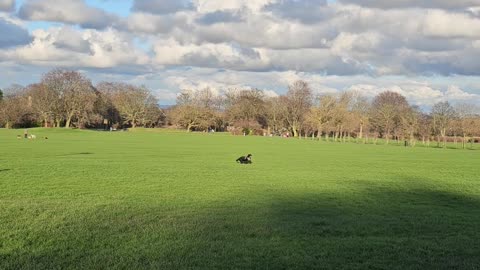 Peaceful place