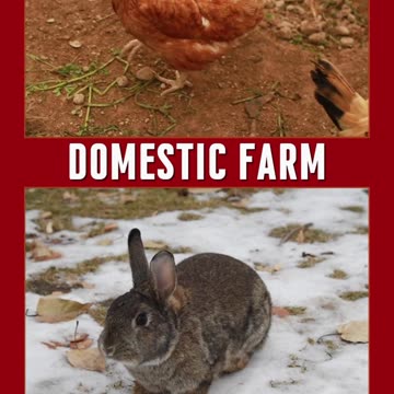 Ho-Ho-How to Build Wealth This Christmas with Land Investing!