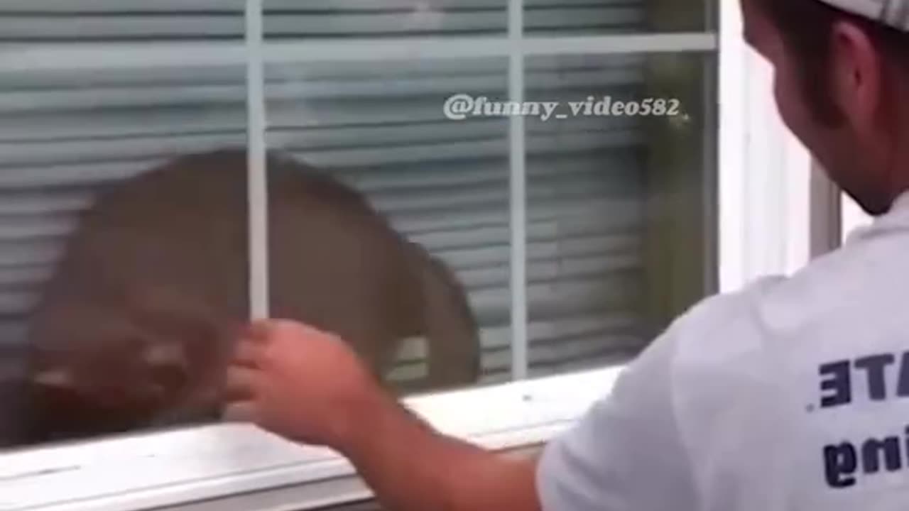 Part 6 Funny shorts video๐น ๐๐๐