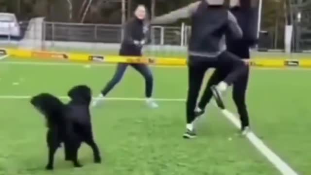 Who let the dogs out!🤣🐕‍🦺