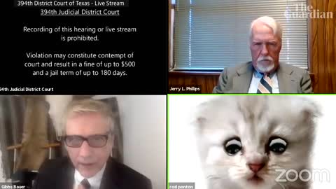 'I’m not a cat'_ lawyer gets stuck on Zoom kitten filter during court case