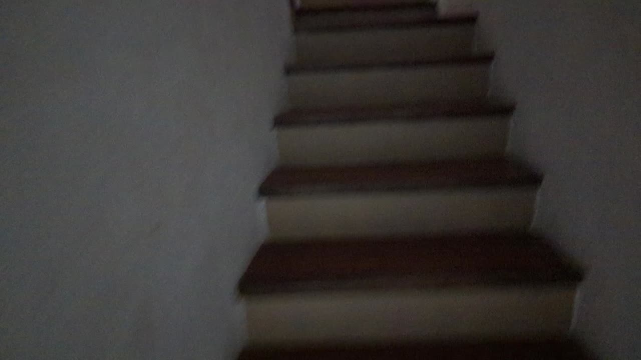 2023-05-28 (1) - (live sans titre) - Twitch Publicités (version avec chat)