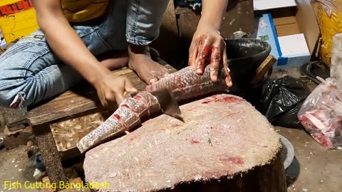 Amazing Giant Snake Head Sola Fish Cutting Skills Live In BD Fish Market