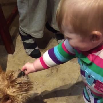 Risueña beba comparte adorablemente su galleta con un perro