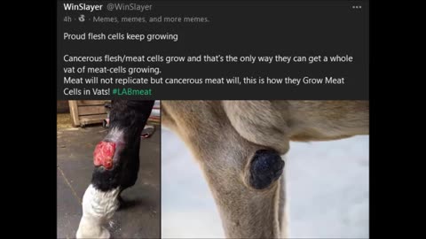 This is the meat that they want us to eat - sick