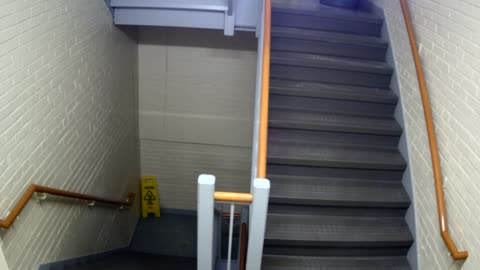 3892FHOB05Stair5_2021-01-05_01h00min09s467ms.mp4