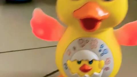 cute