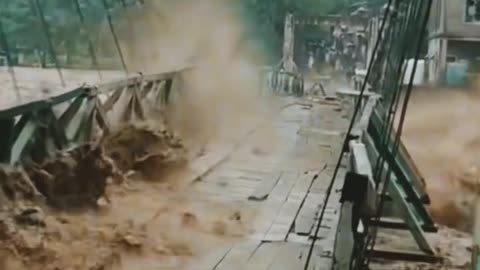 NATURE'S REVENGE, Amazing, WATCH Till End.