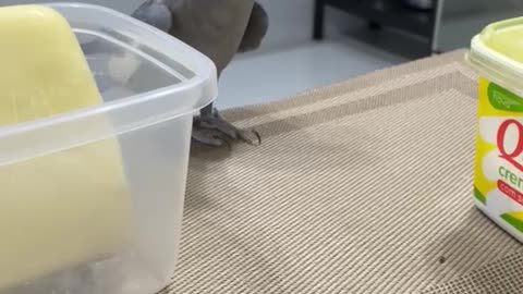 Video video