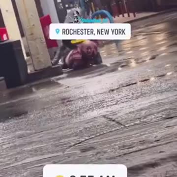 NIGGERS ROB WHITE GUY.mp4