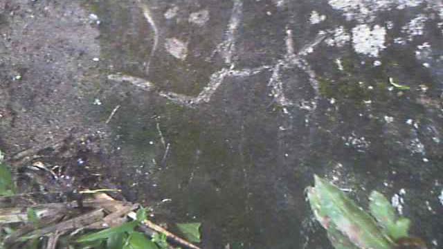 LARGE PETROGLYPH BY MY PROPERTY (uncleaned)
