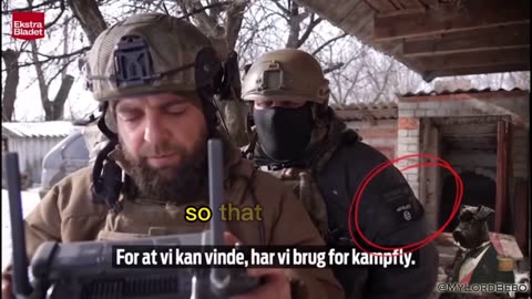 qd les nazillons de kiev sont eux aussi copains comme des cochons avec les terroristes islamistes