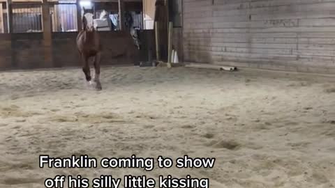 Franklin coming to show off his silly little kissing