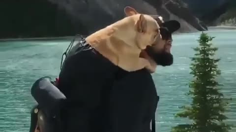 men with dog