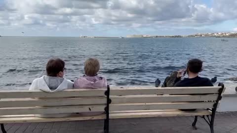 This is the general vibe.