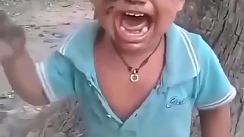 Funny video 2586