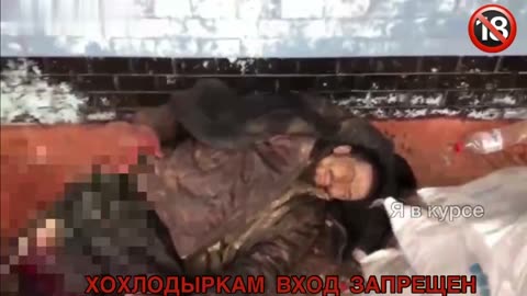 Graphic war video 18+++++