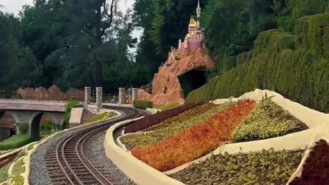 DISNEYLAND THINGSYOU MIGHT LIKEAT WALT DISNEY WORLD