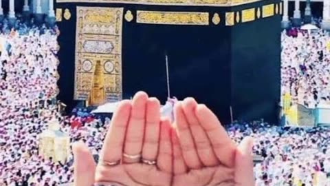 Bohit hi payari DOA hi. Sab mil kr DOA karein
