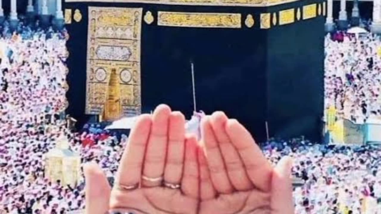 Bohit hi payari DOA hi. Sab mil kr DOA karein
