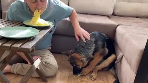 Spaghetti Eating Competition: My German Shepherd Puppy vs. Me