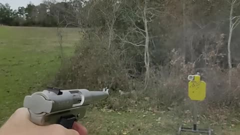 Ruger Standard MK II 1993 model