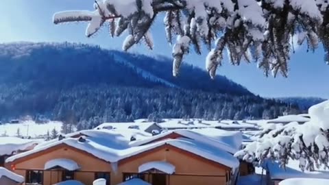 Music Relaxing , Sleep Music, Stress Relief Music, Spa, Meditation, Yoga, Zen, Sleeping Music🔴