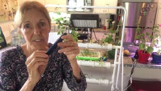 Water PH & Water Testing