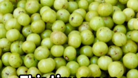***Indian Gooseberry: A Nutritional Powerhouse***