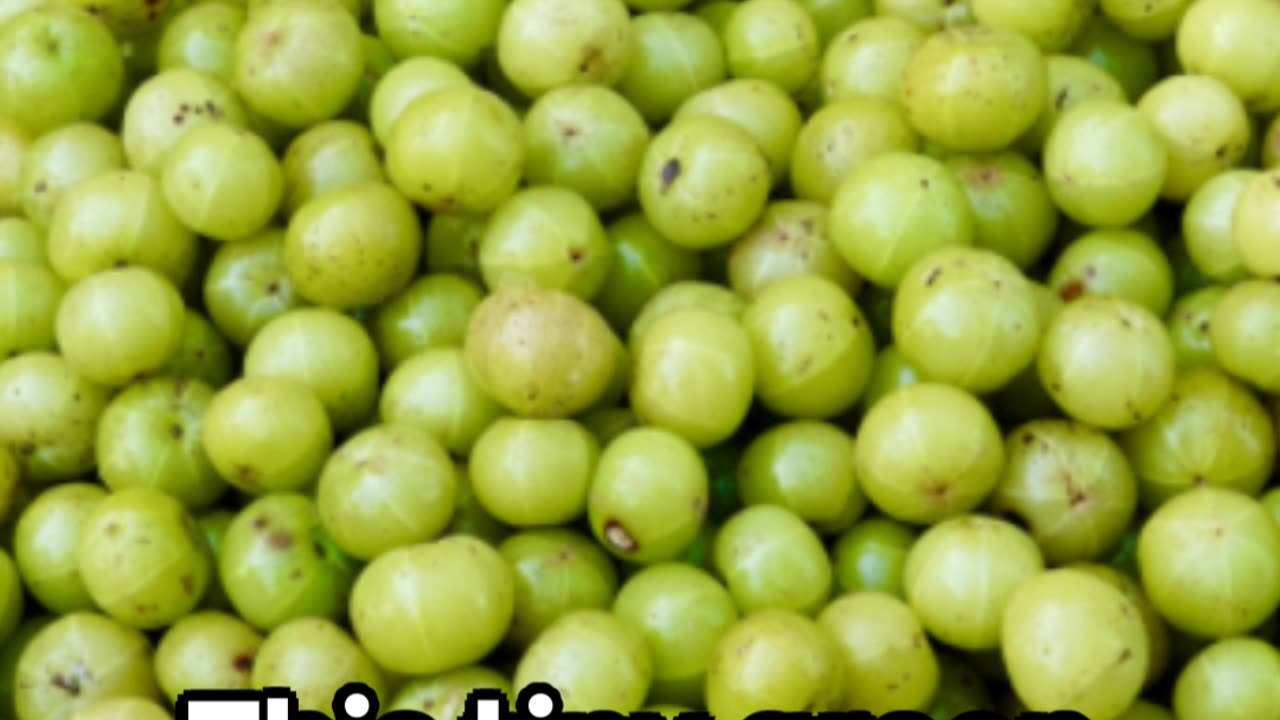 ***Indian Gooseberry: A Nutritional Powerhouse***