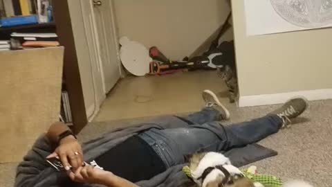 Kitty photo bombs mommy recording puppy