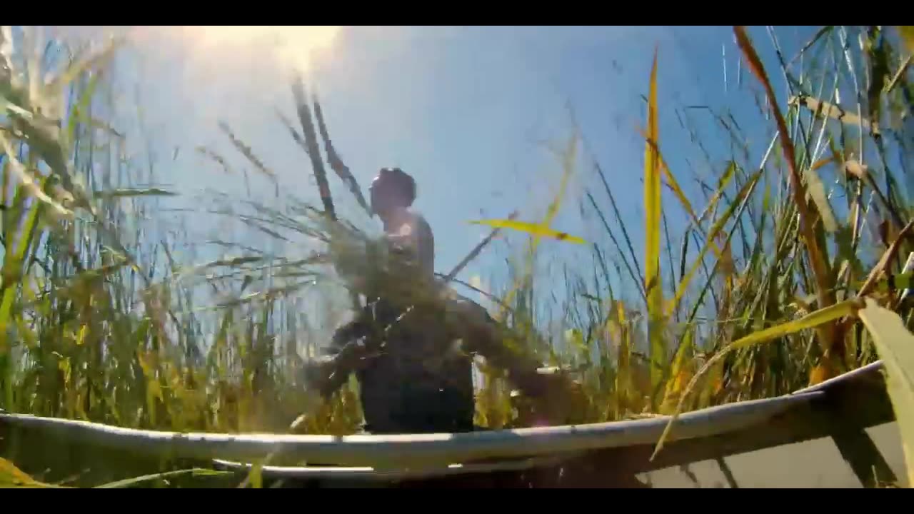 "Seed: The Untold Story" documentary excerpt Our genetic roots, protecting natural intelligence