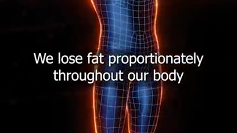 How to Lose Belly Fat