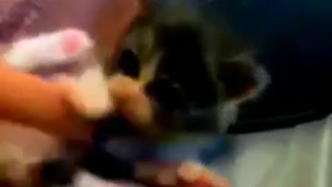 videoplayback