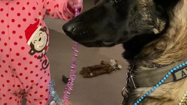 Patient Doggy Plays Dress-Up