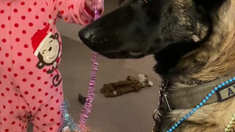 Patient Doggy Plays Dress-Up