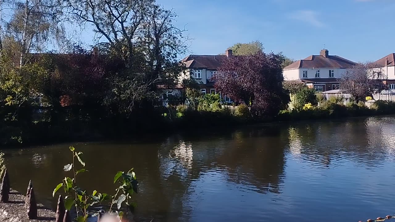 UK Lake View