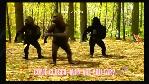 Monkey dance
