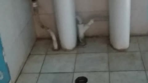 What happens if you fill the ball with water