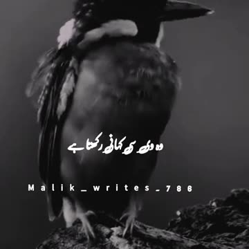 Right 😎😎😎😎