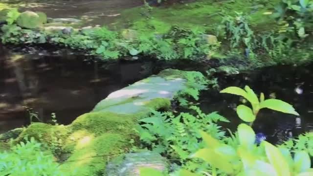 Japanesescenery.ココハドコ