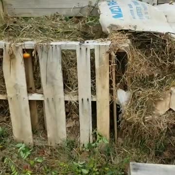 A Brief Word About Composting